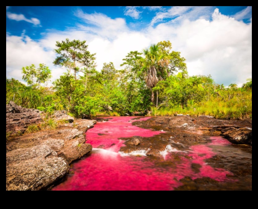 Παστέλ και φύση: Αιχμαλωτίζοντας την ομορφιά της χλωρίδας και της πανίδας