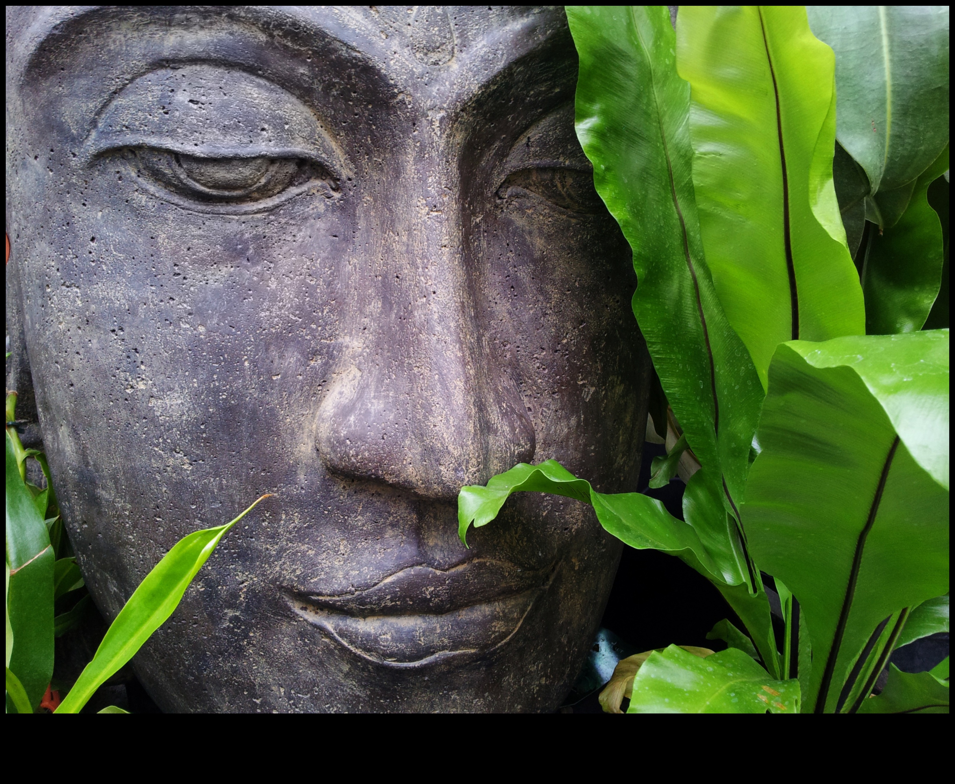 Sculpted Serenity: Tranquil DIY Retreats for Gardens