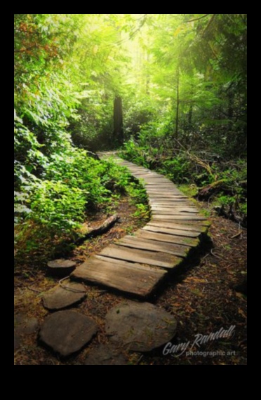 Ήσυχα μονοπάτια: Garden Design Pathways to Bliss