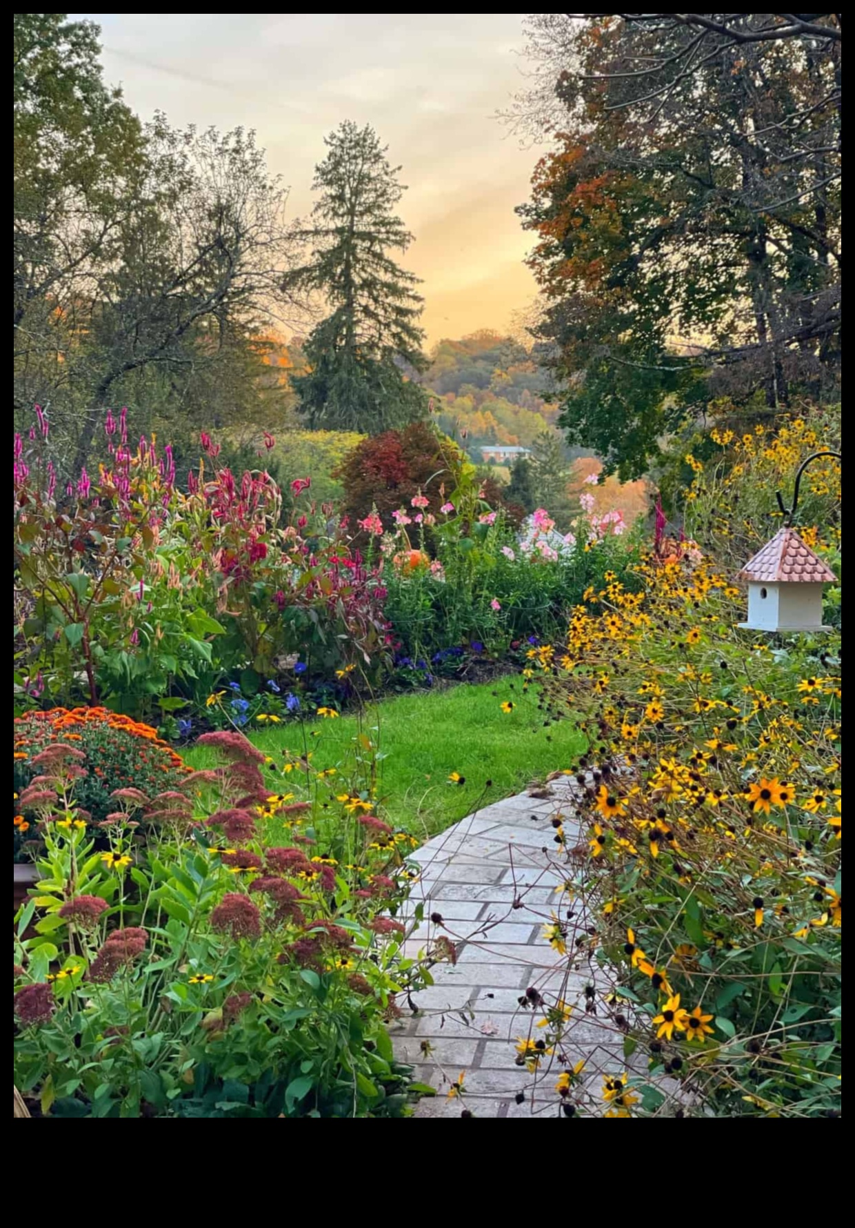 Blossom Bliss: Ο οδηγός σας για τη συντήρηση του κήπου όλο το χρόνο
