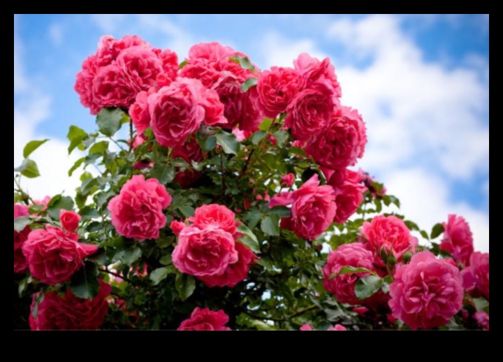 Blossom Bliss: Ο οδηγός σας για τη συντήρηση του κήπου όλο το χρόνο