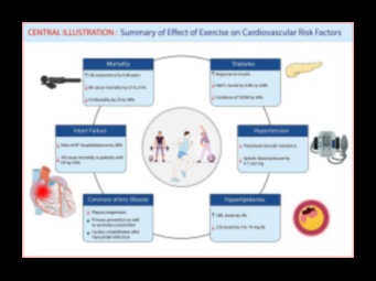 Πεζοδρομίες που χτυπούν, αντλώντας καρδιές: Η καρδιαγγειακή σύνδεση