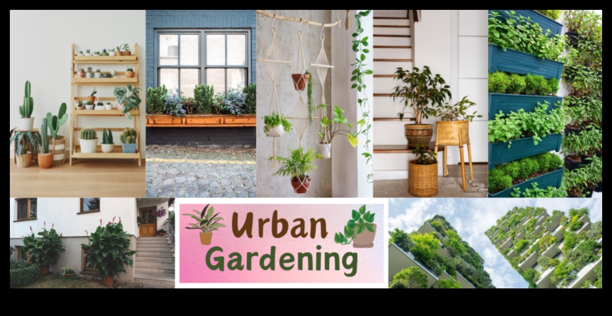 City Gardening 101: Nurturing Nature in Urban Spaces