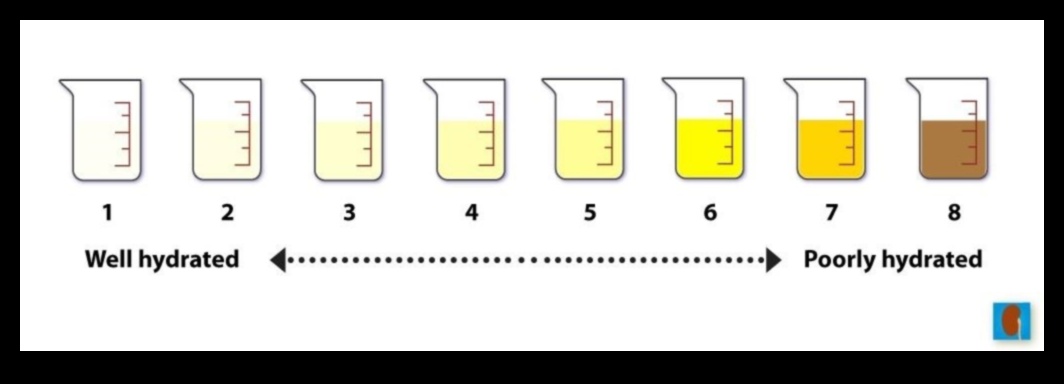 Hacks ενυδάτωσης: Βελτιστοποίηση πρόσληψης νερού για κορυφαία απόδοση