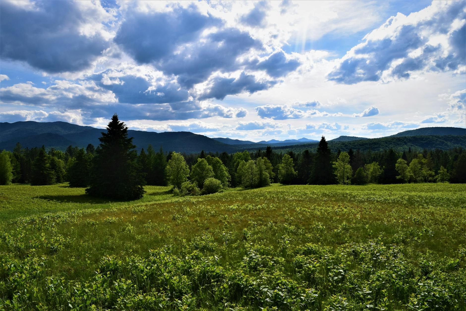 Παράδειγμα ιδιότροπου σχεδίου με υφή