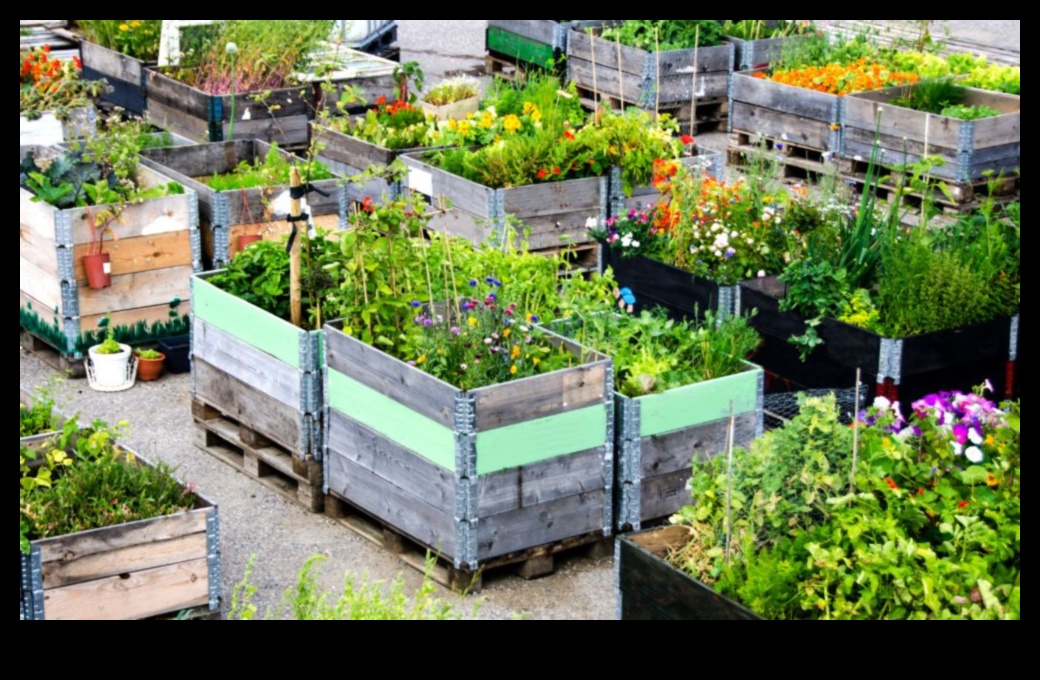 City Gardening 411: Συμβουλές για ακμάζον αστικό πράσινο