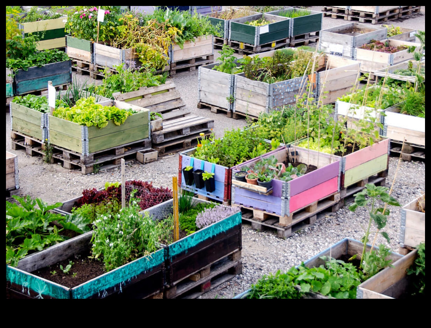 City Gardening 411: Συμβουλές για ακμάζον αστικό πράσινο