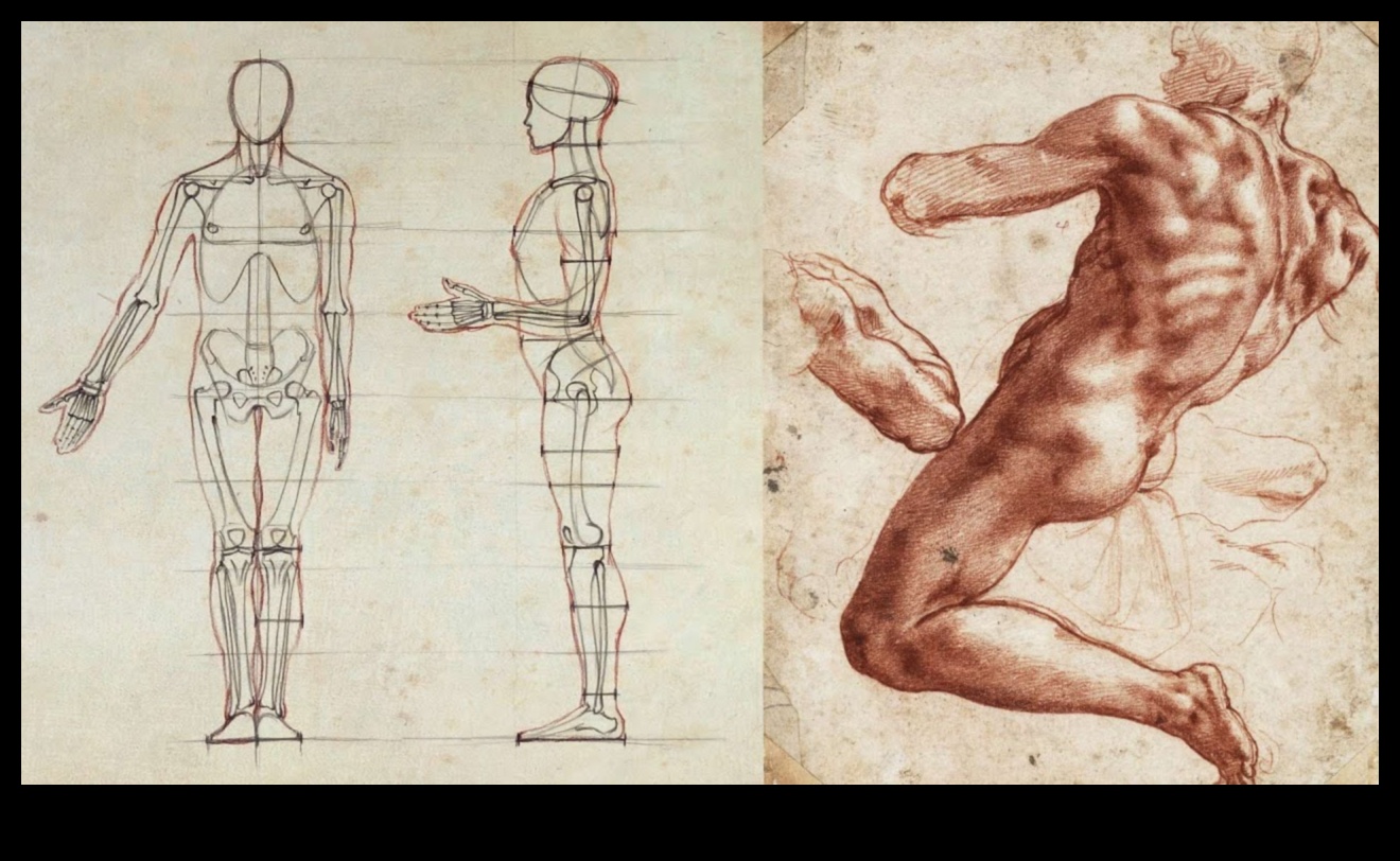 The Human Form: Mastering Proportions in Life Drawing