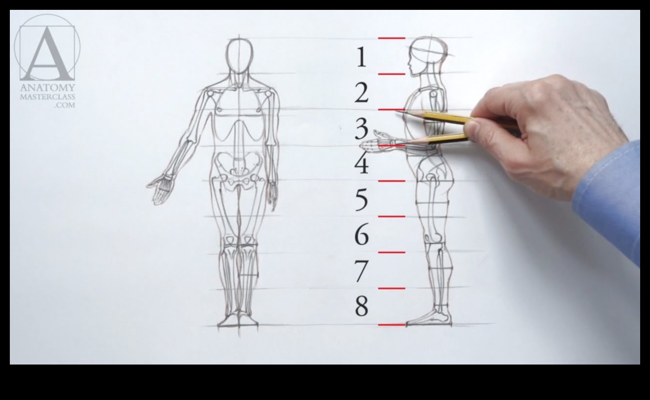 The Human Form: Mastering Proportions in Life Drawing
