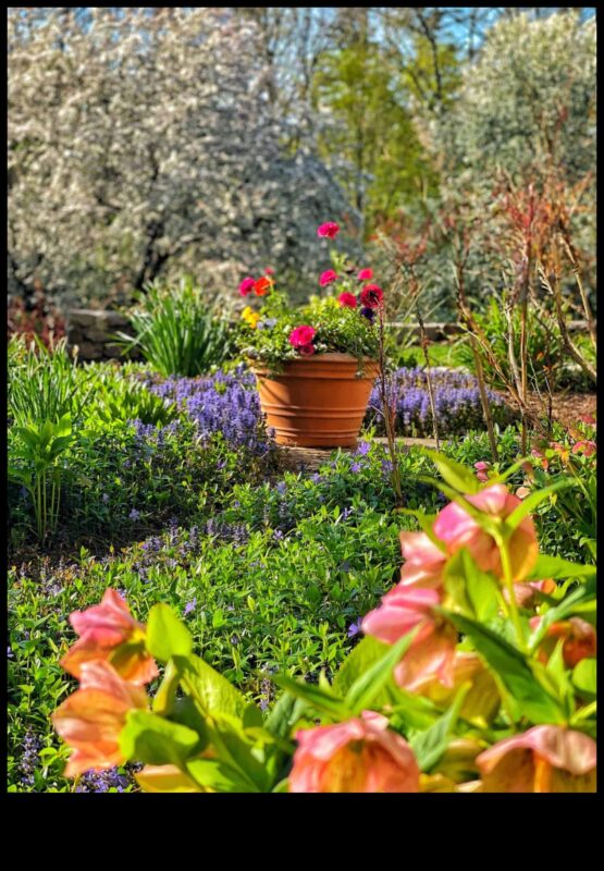 Blossom Bliss: Ο οδηγός σας για τη συντήρηση του κήπου όλο το χρόνο