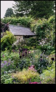 Blossom Retreats: Elevating Spaces with Cottage Gardens