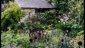 Blossom Retreats: Elevating Spaces with Cottage Gardens