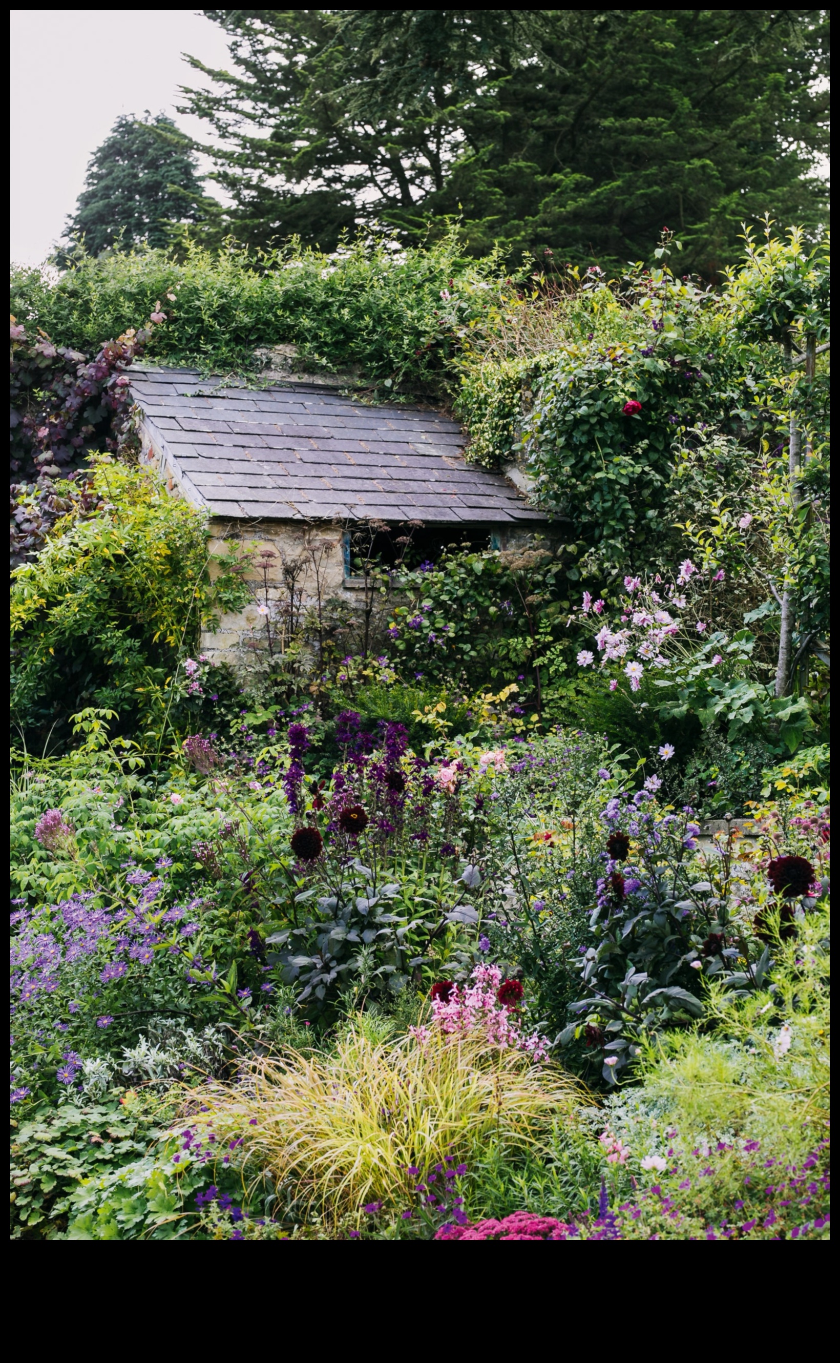 Blossom Retreats: Elevating Spaces with Cottage Gardens