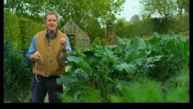 Green Comrades: Secrets of Successful Garden Harmony