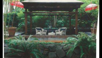 Sculpted Serenity: Tranquil DIY Retreats for Gardens