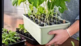 Rooted in Success: Garden Equipment for Every Enthusiast