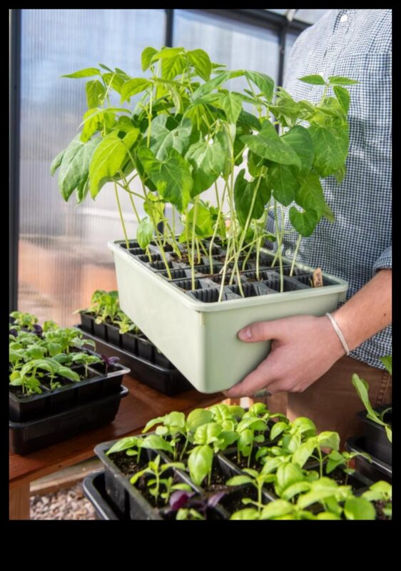 Rooted in Success: Garden Equipment for Every Enthusiast