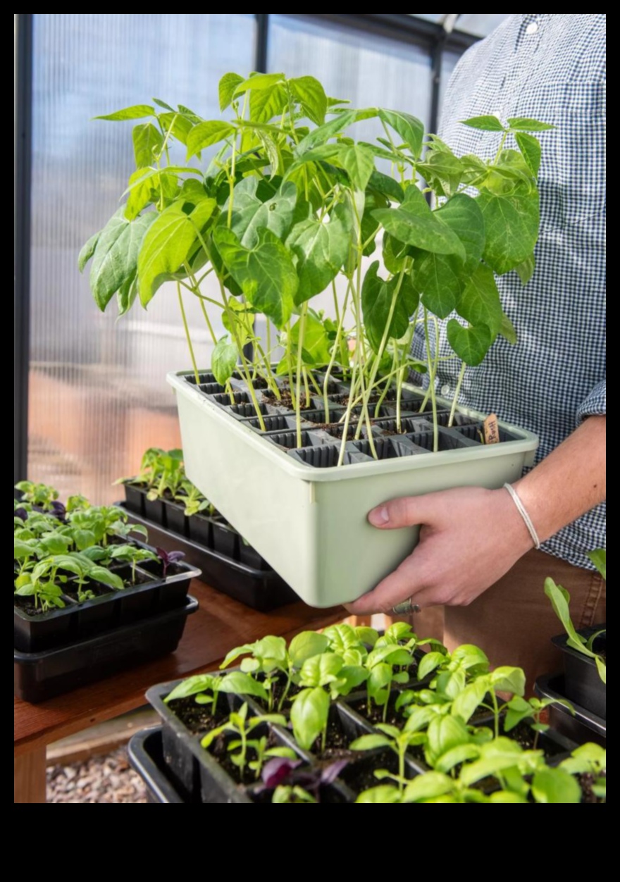 Rooted in Success: Garden Equipment for Every Enthusiast