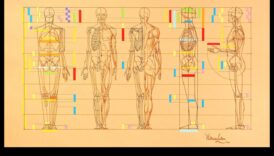 The Human Form: Mastering Proportions in Life Drawing