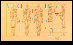 The Human Form: Mastering Proportions in Life Drawing