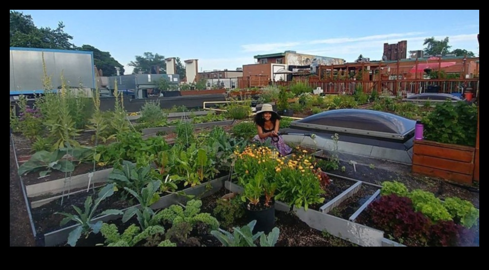 City Greens 101: Urban Gardening Essentials for All