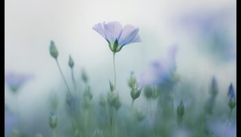 Παστέλ και φύση: Αιχμαλωτίζοντας την ομορφιά της χλωρίδας και της πανίδας